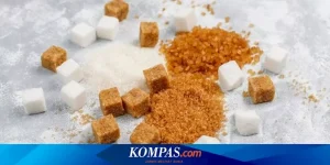 Mengenal Perbedaan Gula Kelapa Dan Gula Tebu Mana Yang Tepat Untuk Kebutuhan Kuliner Anda
