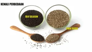 Mengungkap Perbedaan Selasih Dan Biji Selasih Dari Dapur Herba Hingga Minuman Segar