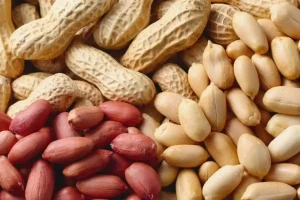Menjelajahi Perbedaan Kacang Tanah Dan Kacang Bogor Dari Cita Rasa Hingga Nilai Nutrisi