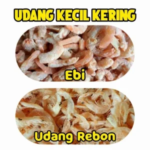 Menyingkap Perbedaan Ebi Udang Dan Ebi Kering Biasa Untuk Cita Rasa Masakan Maksimal