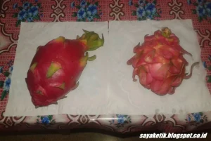 Panduan Lengkap Cara Membedakan Buah Naga Merah Dan Putih Dari Tampilan Rasa Hingga Manfaatnya