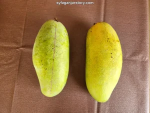 Panduan Lengkap Cara Membedakan Mangga Manis Dan Mangga Mentah Agar Tidak Salah Pilih