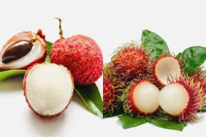 Panduan Lengkap Cara Membedakan Rambutan Dan Leci Dari Ciri Fisik Hingga Profil Rasa