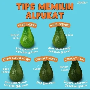 Panduan Lengkap Cara Memilih Buah Alpukat Yang Matang Sempurna Untuk Sajian Lezat