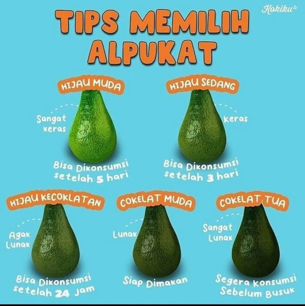 Panduan Lengkap Cara Memilih Buah Alpukat Yang Matang Sempurna Untuk Sajian Lezat