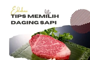 Panduan Lengkap Cara Memilih Daging Sapi Yang Empuk Dan Tidak Alot Untuk Masakan Lezat