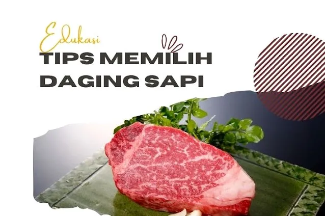 Panduan Lengkap Cara Memilih Daging Sapi Yang Empuk Dan Tidak Alot Untuk Masakan Lezat