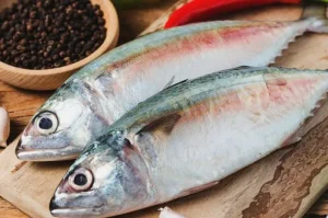 Panduan Lengkap Cara Memilih Ikan Kembung Yang Masih Segar Untuk Hasil Masakan Lezat