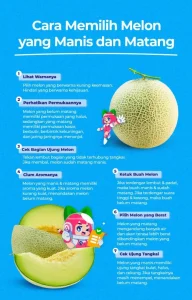 Panduan Lengkap Cara Memilih Melon Yang Manis Dan Matang Sempurna