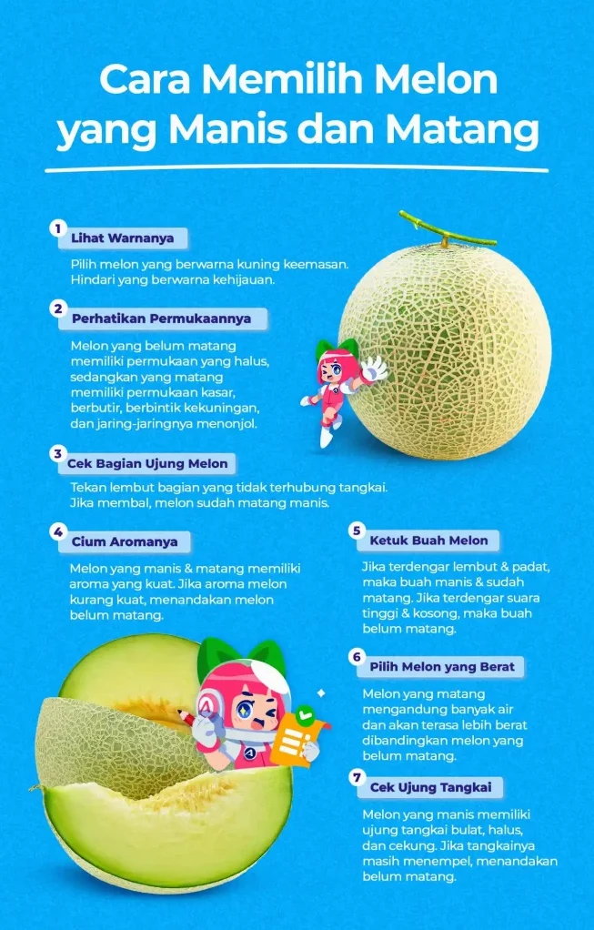 Panduan Lengkap Cara Memilih Melon Yang Manis Dan Matang Sempurna