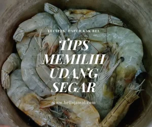 Panduan Lengkap Cara Memilih Udang Segar Yang Tidak Berbau Amoniak Untuk Masakan Lezat Dan Sehat