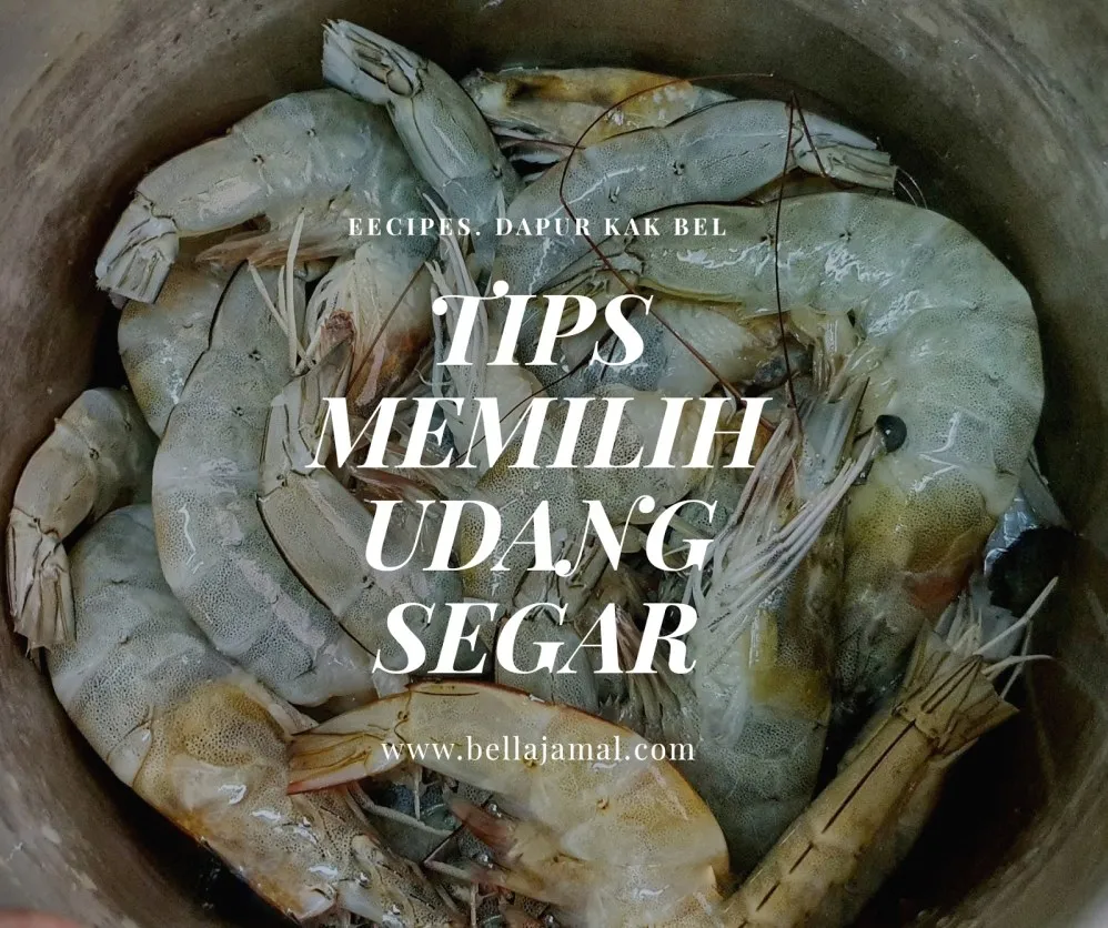 Panduan Lengkap Cara Memilih Udang Segar Yang Tidak Berbau Amoniak Untuk Masakan Lezat Dan Sehat