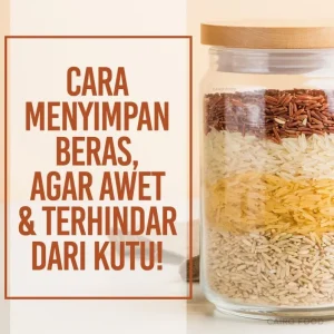 Panduan Lengkap Cara Menyimpan Beras Agar Tidak Kena Ngengat Dan Tetap Segar
