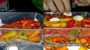 Panduan Lengkap Cara Menyimpan Cabai Besar Agar Tetap Segar Dan Tahan Lama