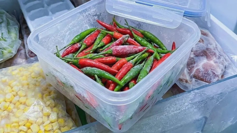 Panduan Lengkap Cara Menyimpan Cabai Rawit Di Freezer Agar Tidak Busuk Dan Tahan Berbulan Bulan