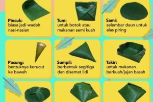 Panduan Lengkap Memilih Jenis Daun Pisang Yang Bagus Untuk Membungkus Makanan