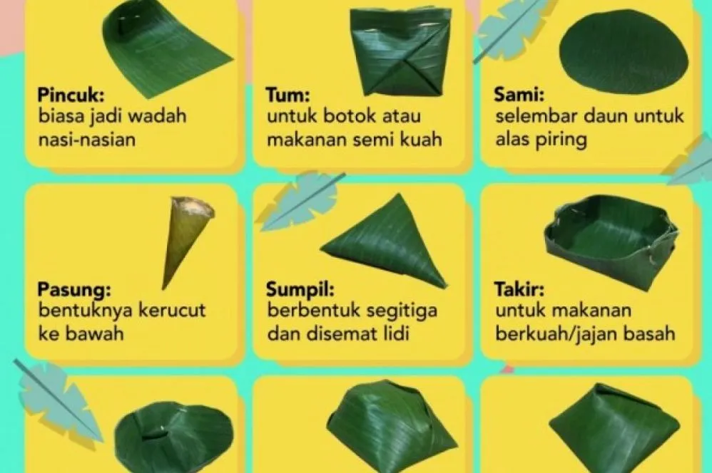 Panduan Lengkap Memilih Jenis Daun Pisang Yang Bagus Untuk Membungkus Makanan
