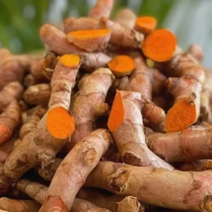 Panduan Lengkap Memilih Jenis Kunyit Yang Bagus Untuk Pewarna Alami Kuliner