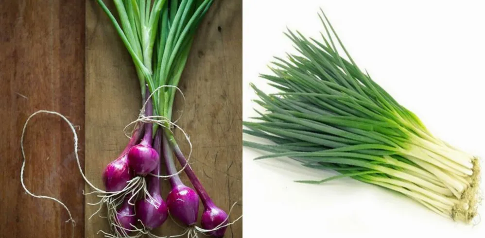 Panduan Lengkap Perbedaan Bawang Merah Umbi Dan Bawang Merah Daun Untuk Dapur Anda