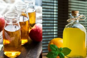 Perbedaan Cuka Masak Dan Cuka Apel Panduan Lengkap Untuk Dapur Anda