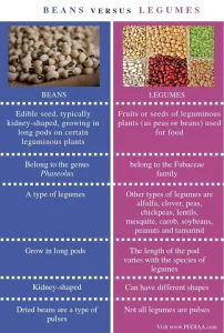 Perbedaan Kacang Merah Dan Kacang Polong Panduan Lengkap Karakteristik Nutrisi Dan Olahan Kuliner