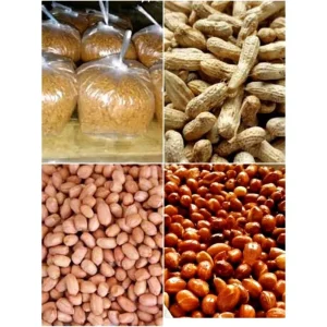 Perbedaan Kacang Tanah Goreng Dan Kacang Tanah Sangrai Cita Rasa Nutrisi Dan Penggunaannya