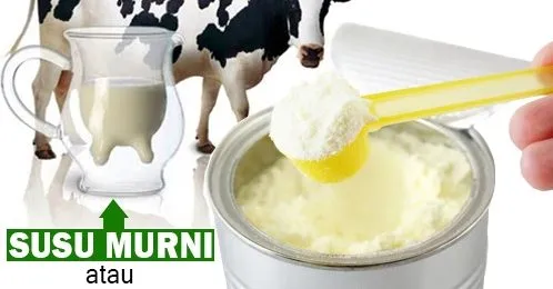 Perbedaan Susu Sapi Murni Dan Susu Formula Panduan Lengkap Nutrisi Rasa Dan Penggunaan