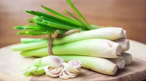Rahasia Dapur Nusantara Fungsi Serai Dalam Masakan Untuk Menghilangkan Amis Secara Natural