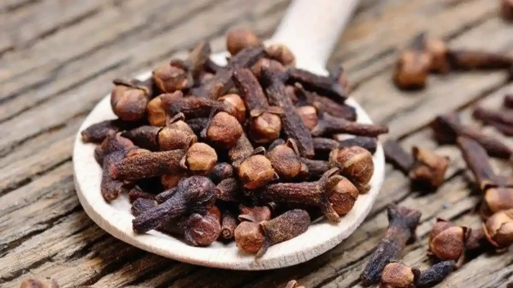 Rahasia Kelezatan Kuah Aromatik Memahami Fungsi Cengkeh Dalam Masakan Berkuah