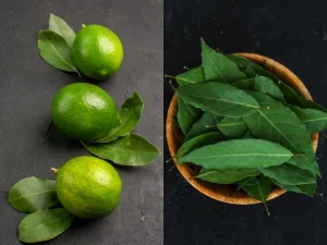 Rahasia Kelezatan Kuliner Nusantara Memahami Fungsi Daun Salam Dan Daun Jeruk Dalam Masakan