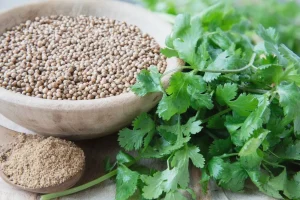 Rahasia Kelezatan Masakan Minang Memahami Fungsi Ketumbar Dalam Bumbu Balado
