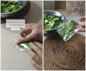 Rahasia Rahasia Bumbu Dapur Cara Menyimpan Daun Jeruk Agar Tetap Harum Di Kulkas