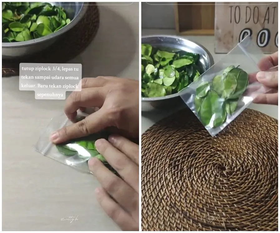 Rahasia Rahasia Bumbu Dapur Cara Menyimpan Daun Jeruk Agar Tetap Harum Di Kulkas