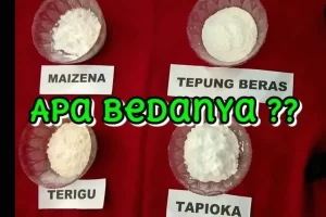 Rahasia Tekstur Sempurna Memilih Jenis Tepung Beras Dan Tepung Kanji Yang Benar Untuk Kue