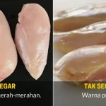Panduan Lengkap Cara Membedakan Daging Ayam Fillet Dan Daging Ayam Biasa Untuk Masakan Harian