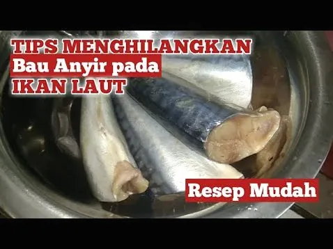 Panduan Lengkap Cara Menghilangkan Bau Anyir Pada Ikan Secara Natural