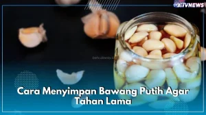 Panduan Lengkap Cara Menyimpan Bawang Putih Agar Tidak Cepat Busuk Dan Tetap Segar