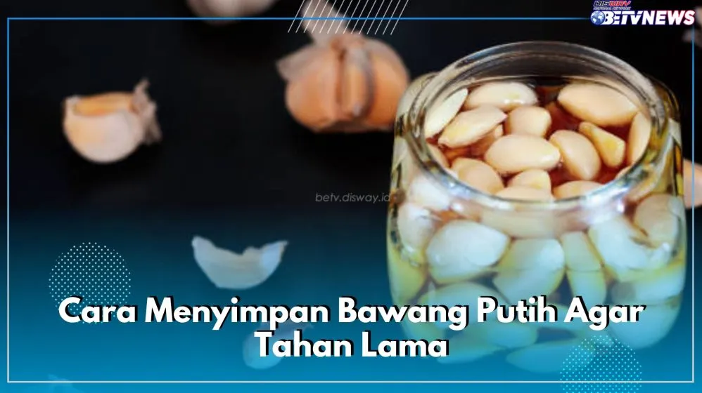 Panduan Lengkap Cara Menyimpan Bawang Putih Agar Tidak Cepat Busuk Dan Tetap Segar