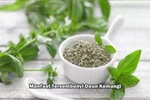 Panduan Lengkap Memilih Jenis Daun Kemangi Yang Bagus Untuk Pecel