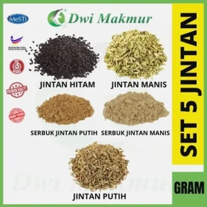 Panduan Lengkap Mengenal Jenis Jintan Yang Bagus Untuk Masakan