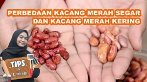 Perbedaan Kacang Merah Kering Dan Kacang Merah Kalengan Panduan Lengkap Untuk Dapur Anda