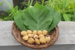 Rahasia Kelezatan Kuliner Pulau Dewata Menelusuri Fungsi Kemiri Dalam Bumbu Bali